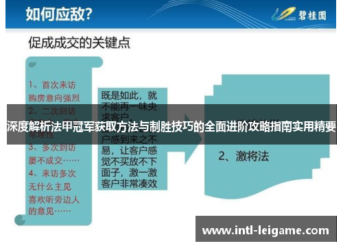 深度解析法甲冠军获取方法与制胜技巧的全面进阶攻略指南实用精要