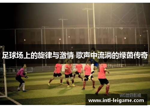 足球场上的旋律与激情 歌声中流淌的绿茵传奇