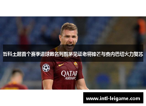 哲科土超首个赛季进球数名列前茅见证老将锋芒与费内巴切火力复苏 哲科土超首个赛季进球数名列前茅见证老将锋芒与费内巴切火力复苏