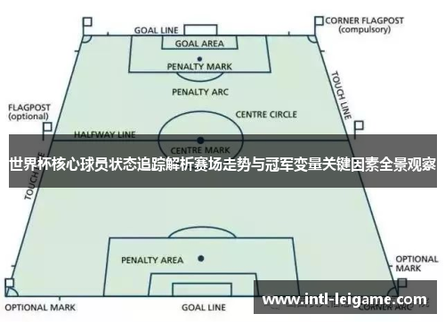 世界杯核心球员状态追踪解析赛场走势与冠军变量关键因素全景观察